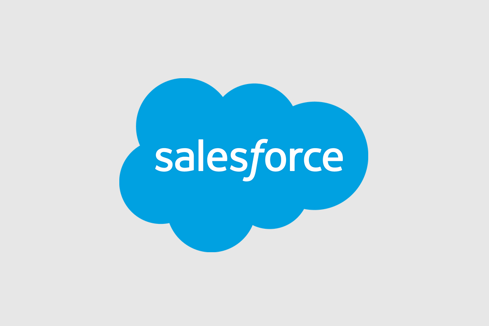 Cyber Chasse- Salesforce